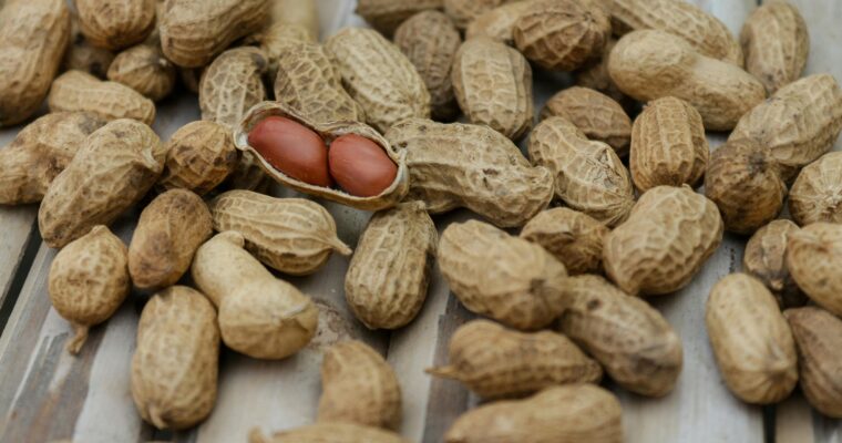 A Mom’s Perspective: How Pediatricians Created the Peanut Allergy Epidemic