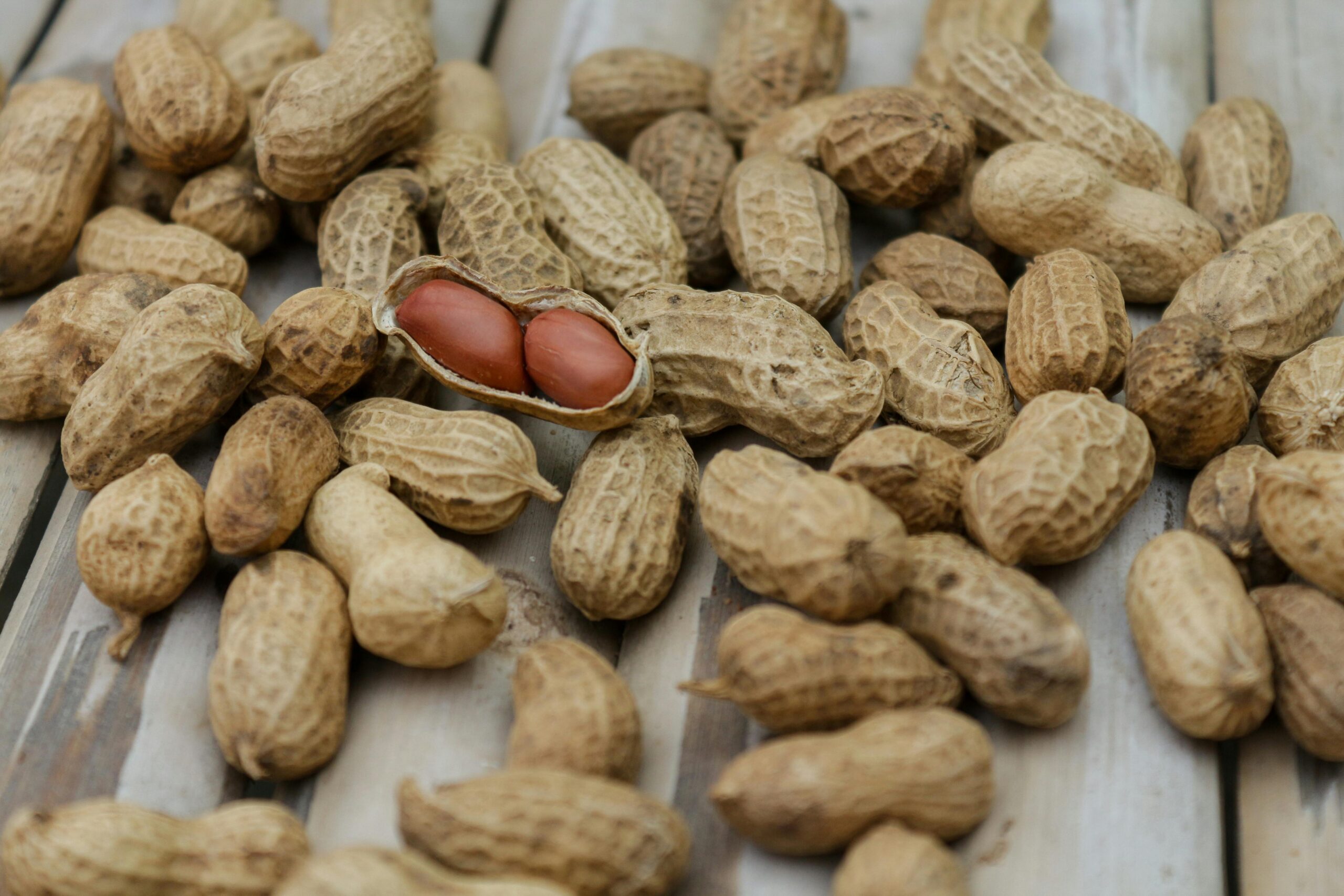 A Mom’s Perspective: How Pediatricians Created the Peanut Allergy Epidemic